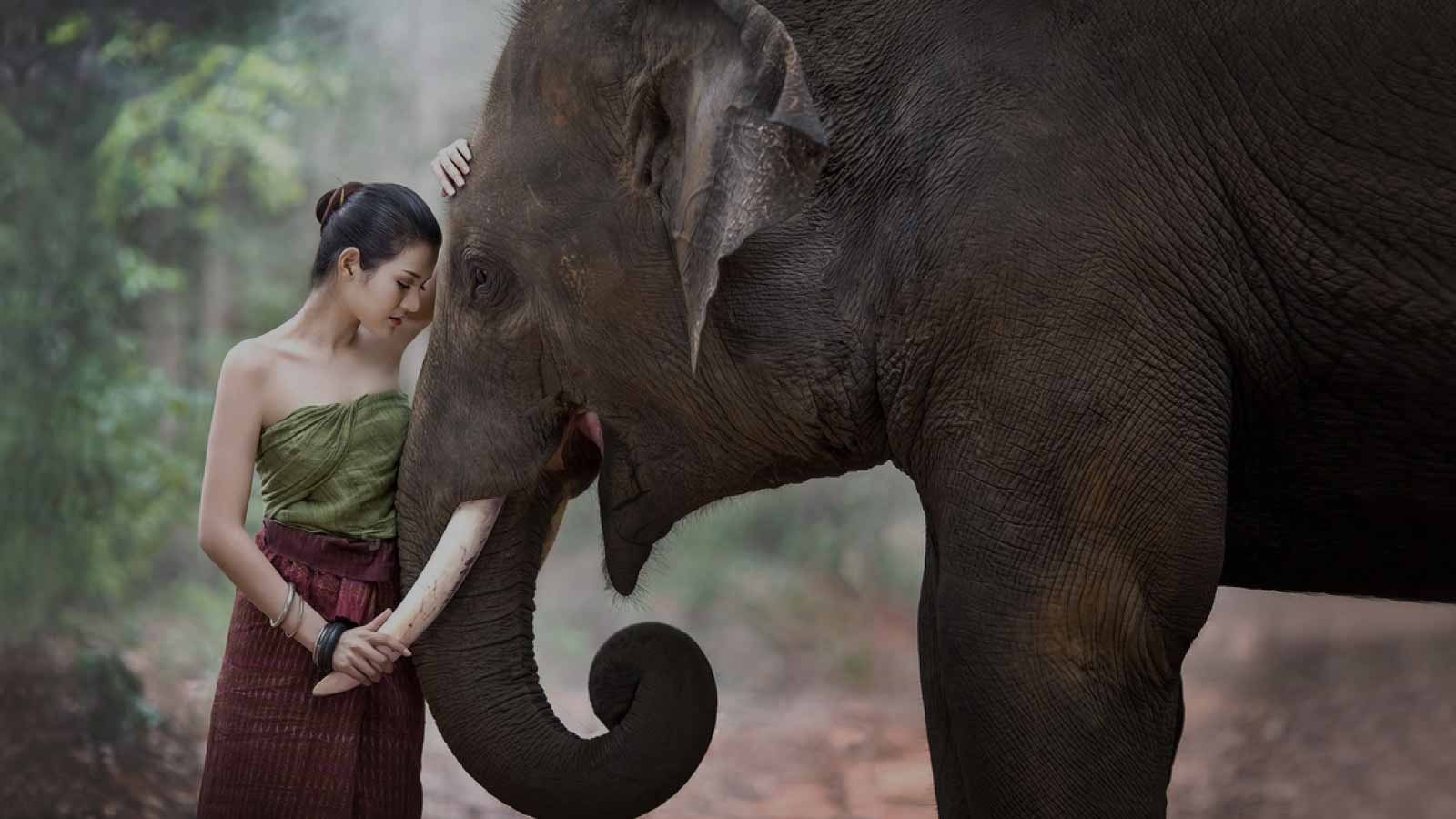 INDIAlife culture